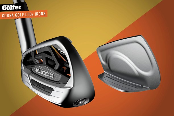 Cobra's new LTDx iron.