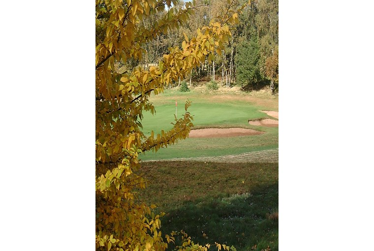 Coxmoor Golf Club Golf Course in SUTTONINASHFIELD Golf Course