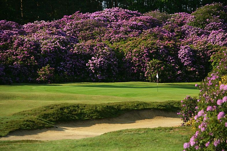 sachin and babi light blue dress Swinley Forest Golf Club