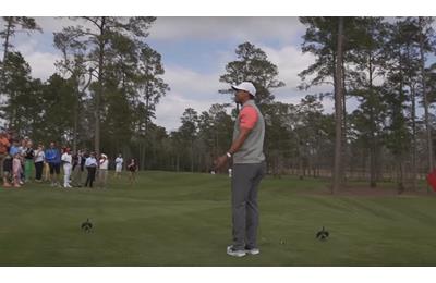 tiger-woods-bluejack-national