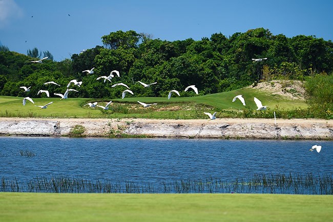 olympic-golf-rio