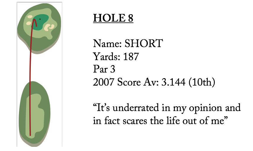 hole 8