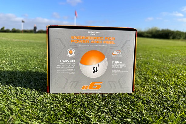 Bridgestone e6 golf balls.