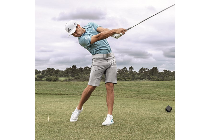 xander-schauffele