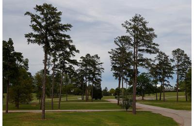 Expect Augusta National to look very different to normal for this year's Masters Tournament.