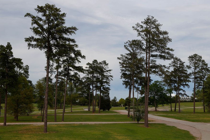 Expect Augusta National to look very different to normal for this year's Masters Tournament.