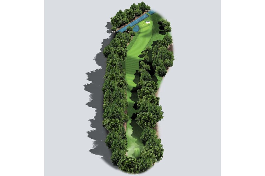 Augusta National's 11th hole, White Dogwood.