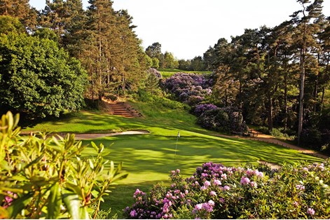 Woburn's Duke's course.