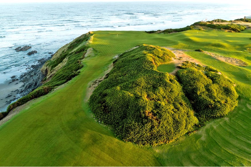 Bandon sheep ranch