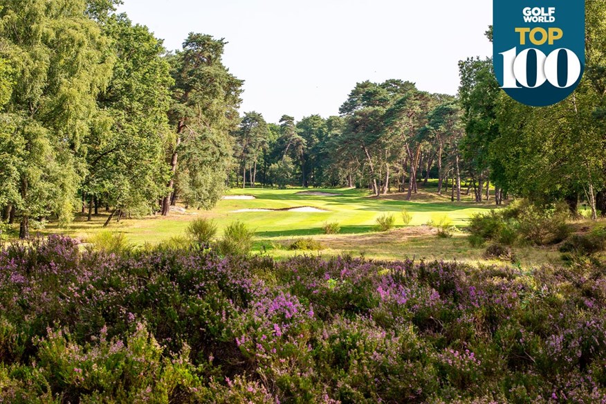 Fontainebleau is one of the best golf courses in the world.