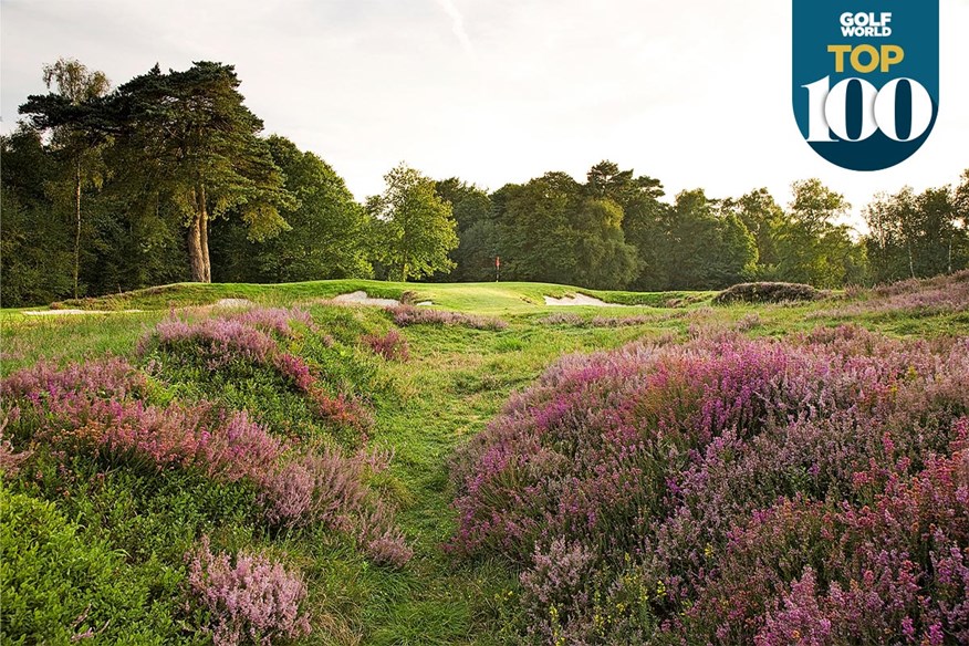 Liphook is one of the best golf courses in the UK and Ireland.