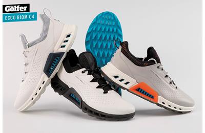 The Ecco Biom C4 is available in four colours.