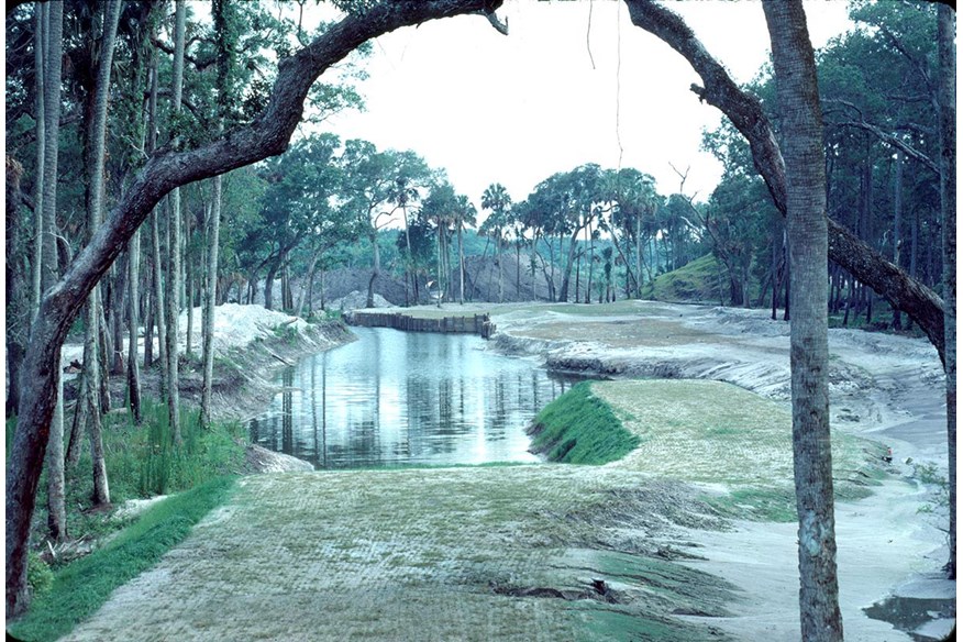 The 13th hole emerges from between the Sawgrass oaks.