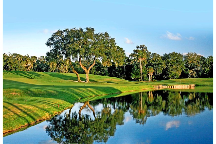 The 16th at TPC Sawgrass.